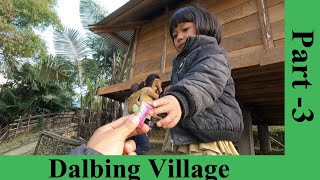 Dalbing Village Part 3/Upper Dalbing Tour/Upper Siang /Arunachal Pradesh