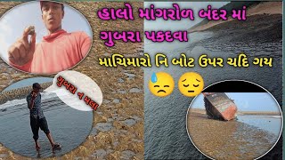 હાલો મિત્રો માંગરોળ બંદર માં ગુબરા‌ પકદવા 😁🐚 || ગુબાર પકદવા 😁🐚 || માંગરોળ બંદર માં બોટ ઉપર ચદિ ગય⛵😞