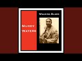Walking Blues