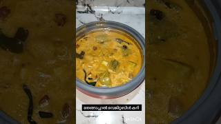 തേങ്ങാപ്പാൽ വെജിറ്റബിൾ കറി #foodlover #food #easyfoodtomakeathome #kerala #india #cooking#recipe #r