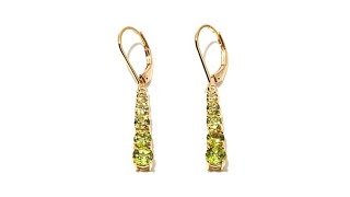 Technibond Graduated Gem Linear Drop Earrings