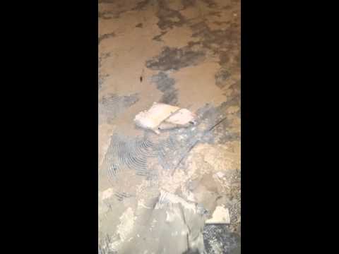 Vinyls floor adhesive removal on concrete Easy... Vinyls floor adhesive removal on concrete Easy...
