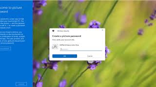 How To Setup Picture Password On Windows 11 [Tutorial]
