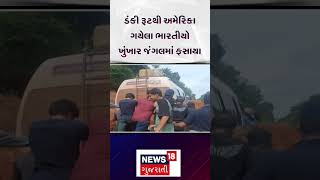 America deport Indians | ડંકી રૂટથી અમેરિકા ગયેલા ભારતીયો ખુંખાર જંગલમાં ફસાયા | | news18