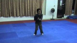 Guangzhou Wing Chun, Twelve Separate-Forms by Holmann Ling 廣州詠春拳十二散式