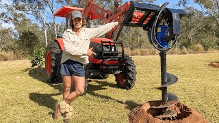 HOW TO DIG A PERFECT FRUIT TREE PLANTING HOLE!!