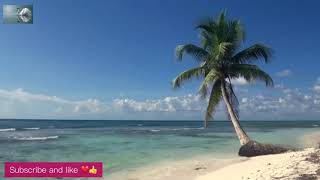 Calming Music-Beach Relaxation Relaxing Music with Gentle Ocean Sounds, Soothing Waves and Peaceful