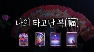 [타로] 조만간 나에게 다가올 행운🧧 (+2025년 운세)