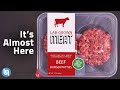 The Future of Meat - Lab Grown Meat Explained