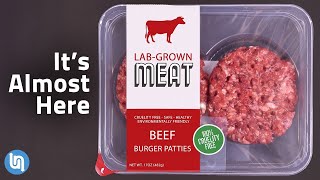 The Future of Meat - Lab Grown Meat Explained