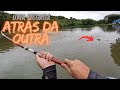 O BRAÇO CANSOU NESSA PESCARIA DE TILÁPIA ! PESCARIA DE TILÁPIA NA DIÁRIA