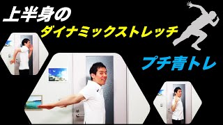 【プチ青トレ】上半身のダイナミックストレッチ