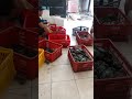 081330449041 | Supplier Kepiting Surabaya Jakarta Selatan Jakarta Barat Bandung Bali Denpasar Solo