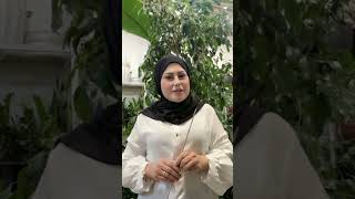 دوو ڕێگای زۆر تەندروست بۆ ئاودانی ڕووەکەکان