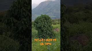 የትነዉ ገምቱ የሀገራችን ዉበት በአሁኑ ሰአት