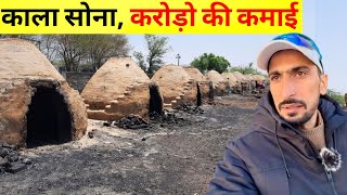 कांटो से संघर्ष | सरकार से सब्सिडी | Bansi Bishnoi