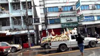 งานประเพณีแห่ไม้ค้ำโพธิ์ จังหวัดเชียงราย ขบวนใหญ่มาก สงกรานต์เชียงราย 12 เมษายน 2557 3