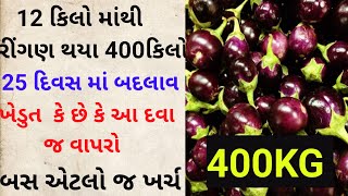 9909887736 રીંગણ || Brinjal || આવું ફૂલ નું જવન જોયું છે તમે #bestresultsjpi