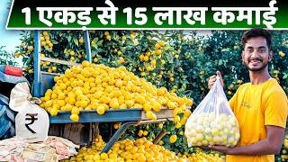 कुंभकाट नींबू से 🍋 15 लाख प्रति एकड़ कमाई 💰 || Kumbhkat Nimbu Ki Kheti🪴 || Kumbhkat Lemon Farming