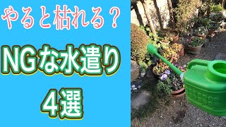 やるとまさかの逆効果！？意外に知らないNGな水遣り４選（字幕対応）