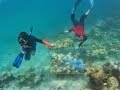 SNORKELING PANTAI BAMA TAMAN NASIONAL BALURAN SITUBONDO 2