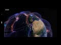 Global Atmospheric Circulation