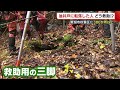 どう救助する！？“油井戸“に転落を想定した訓練実施　「遊歩道を外れず登山楽しんで」【新潟】　 21 11 10 19 16