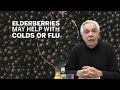 Dr. Joe Schwarcz: Elderberry extract may help with colds or flu