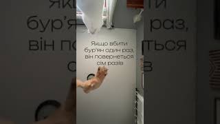 Діліться у коментарях, які цікаві факти знаєте ви? 👇#фактипросадівницство #садівництво