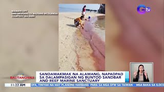 Sandamakmak na alamang, napadpad sa dalampasigan ng Buntod Sandbar and Reef Marine Sanctuary | BT