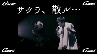 サクラ、散ル…【GACKT】★LAST SONGS 2018★ #GACKT #サクラ散ル #shorts