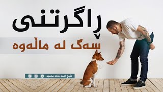 ئایا دروستە لە ماڵەوە سەگ ڕابگرین؟