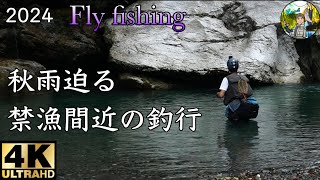 【Fly fishing】2024.9/秋雨迫る禁漁間近の釣行/4K/@yuuhiko