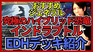 【EDHおすすめジェネラル】究極のハイブリッド恐竜、インドラプトル【統率者戦デッキ紹介】