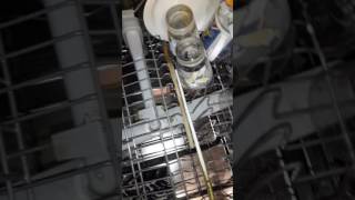 Lavastoviglie Electrolux TT1002 | Come caricare la lavastoviglie (1/2)