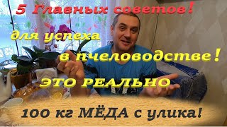 Как взять 100 кг мёда с семьи пчёл! 5 советов начинающим для успеха в пчеловодстве из моего опыта!