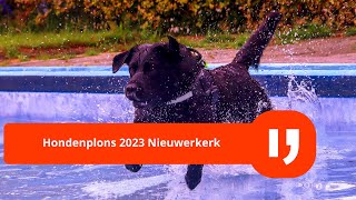 Hondenplons 2023 Nieuwerkerk aan den IJssel