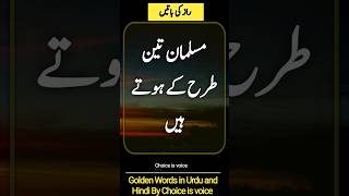 True Lines | Best Urdu Islamic Poetry and Quotes about Life | Golden Words | choice is voice
