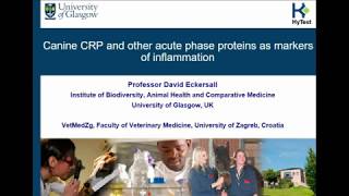 Canine CRP and Other Acute Phase Proteins as Markers of Inflammation