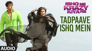 Tadpaave Ishq Mein Full AUDIO Song | Ishq Ne Krazy Kiya Re | T-Series