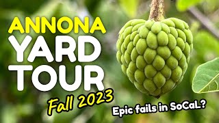 Annona yard tour in Southern California. Epic fails or great success?