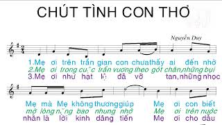 Chút tình con thơ - Lm Nguyễn Duy