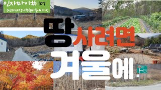 인제자작나무숲마을이야기(인자마이)#105.땅을 사려면 겨울에 사야한다.