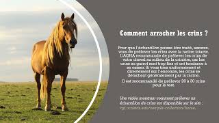 Guide des tests génétiques de l’AQHA
