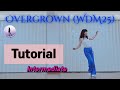 [Tutorial]Overgrown (WDM25) Line Dance #스텝설명 #중급라인댄스 #Gia_Line_Dance 