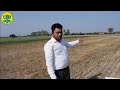 ਮਿੱਟੀ ਪਰਖ ਲਈ ਨਮੂਨਾ ਲੈਣ ਦਾ ਸਹੀ ਢੰਗ method demonstration on soil sampling