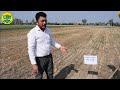 ਮਿੱਟੀ ਪਰਖ ਲਈ ਨਮੂਨਾ ਲੈਣ ਦਾ ਸਹੀ ਢੰਗ method demonstration on soil sampling