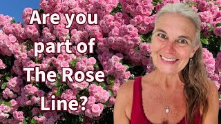 Call Out To The Lineage Of The Rose - It's Time To Blossom Together!