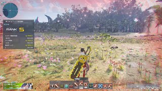 【PSO2:NGS】第二次ハルフィリア湖迎撃戦ソロ Hu/Sl 14:35