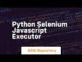 python selenium javascript executor